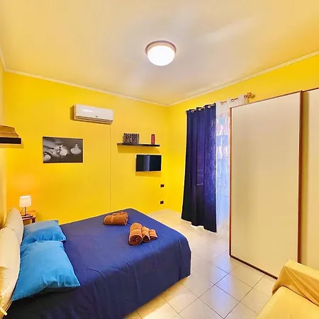 Begonie House Roma