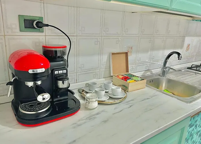 Begonie House * 로마